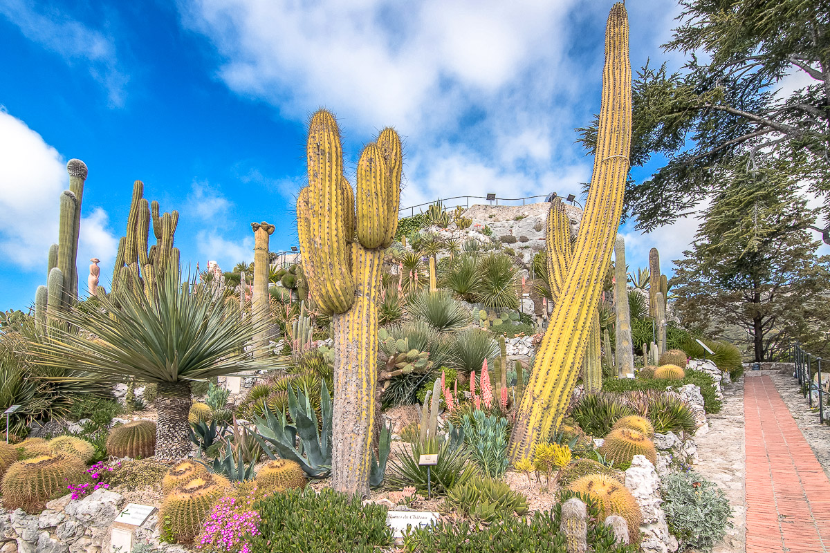 Jardin Exotique d'Èze