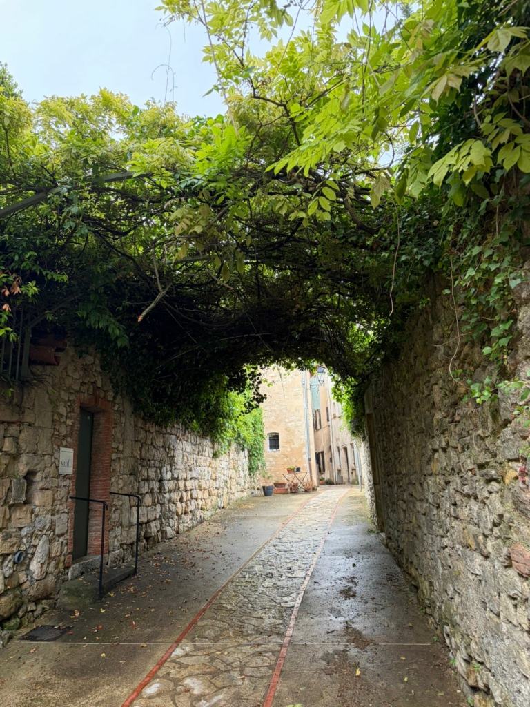 Tourrettes-sur-Loup #10