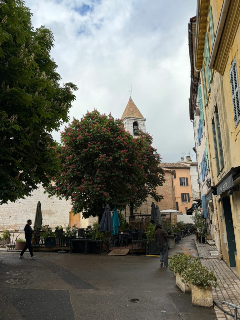 Tourrettes-sur-Loup #18