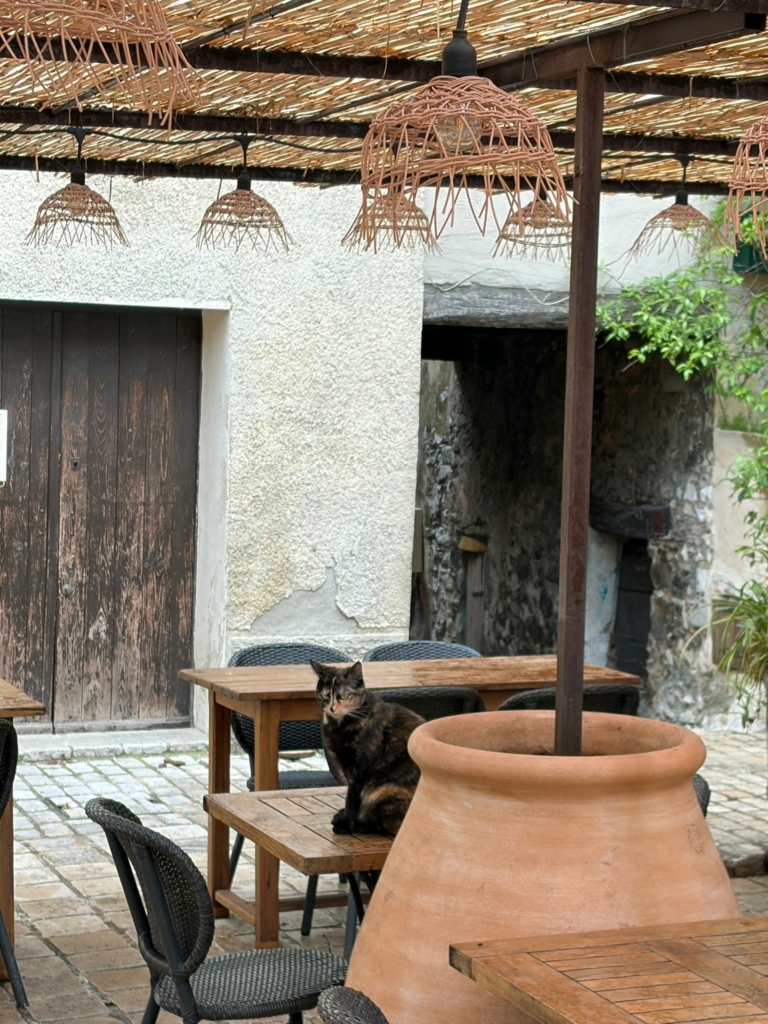 Tourrettes-sur-Loup #20