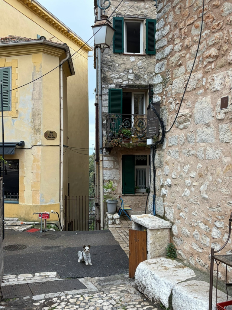 Tourrettes-sur-Loup #79
