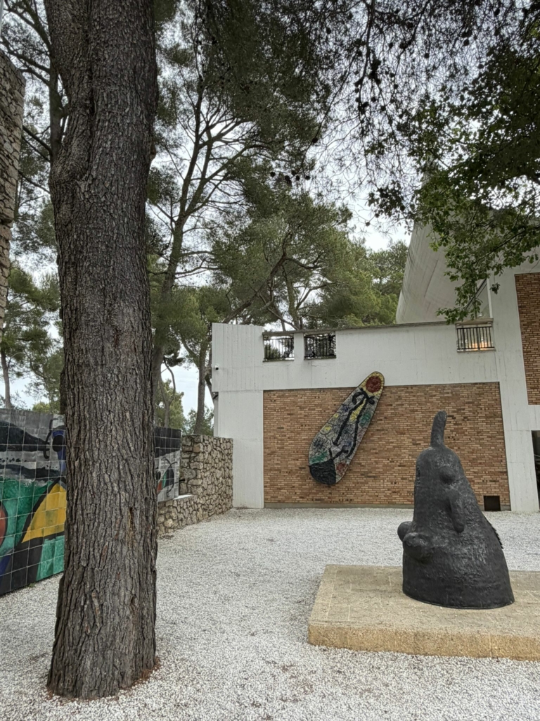 Tourrettes-sur-Loup #221