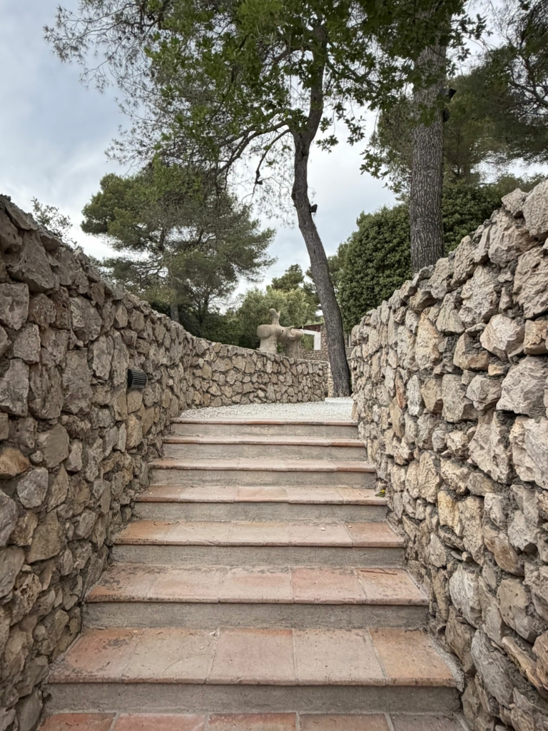 Tourrettes-sur-Loup #233