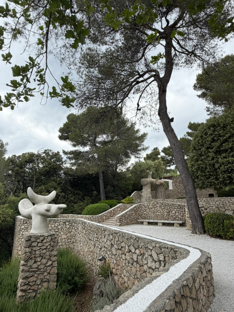 Tourrettes-sur-Loup #238